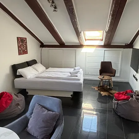 Penthouse Centar 公寓 里耶卡